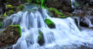 阿蘇の天然水の硬度は？軟水・硬水の違いと飲みやすさの目安を解説